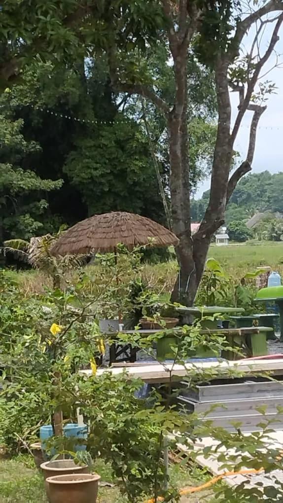 One Mek Studio Bachok Bagian luar foto