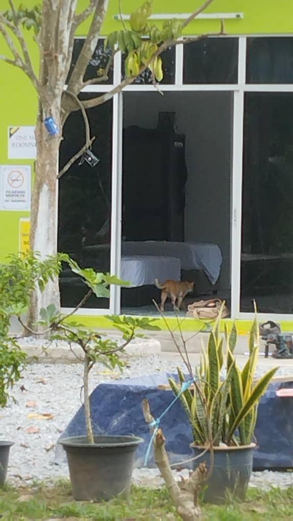 One Mek Studio Bachok Bagian luar foto